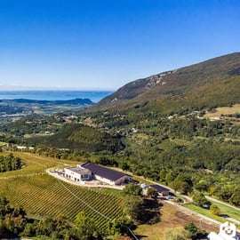 Monte Baldo: Tour und Verkostung von Bio-Bergweinen