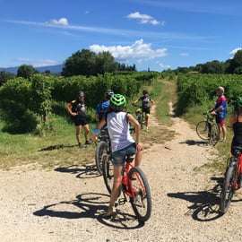 Lazise : Excursion à vélo et dégustation de vins