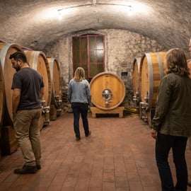Amarone y Valpolicella: tour por bodega con traslado desde Verona