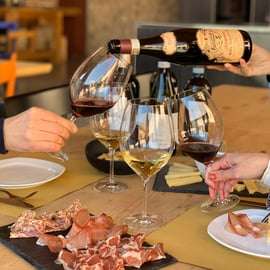 Valpolicella: Tour guiado à vinícola de 1,5 hora com degustação de vinhos