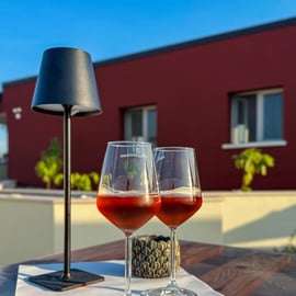 Degustace šesti vín v Lazise s prohlídkou vinic a sklepa