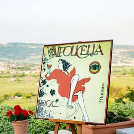 Valpolicella: degustazione di vini su una terrazza spettacolare