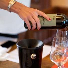 Custoza: Bio-Weinverkostung mit Weinbergs- und Kellertour