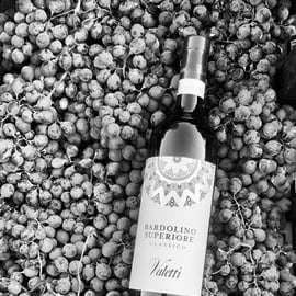 Bardolino: Degustacja wina w Cantina Valetti