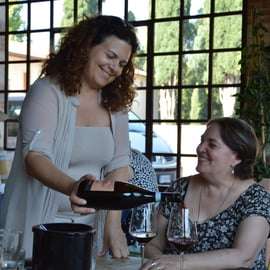De Verona: Excursão de meio dia a Valpolicella para prova de vinhos