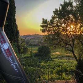 Tour en vélo électrique à Custoza : cave familiale et vin