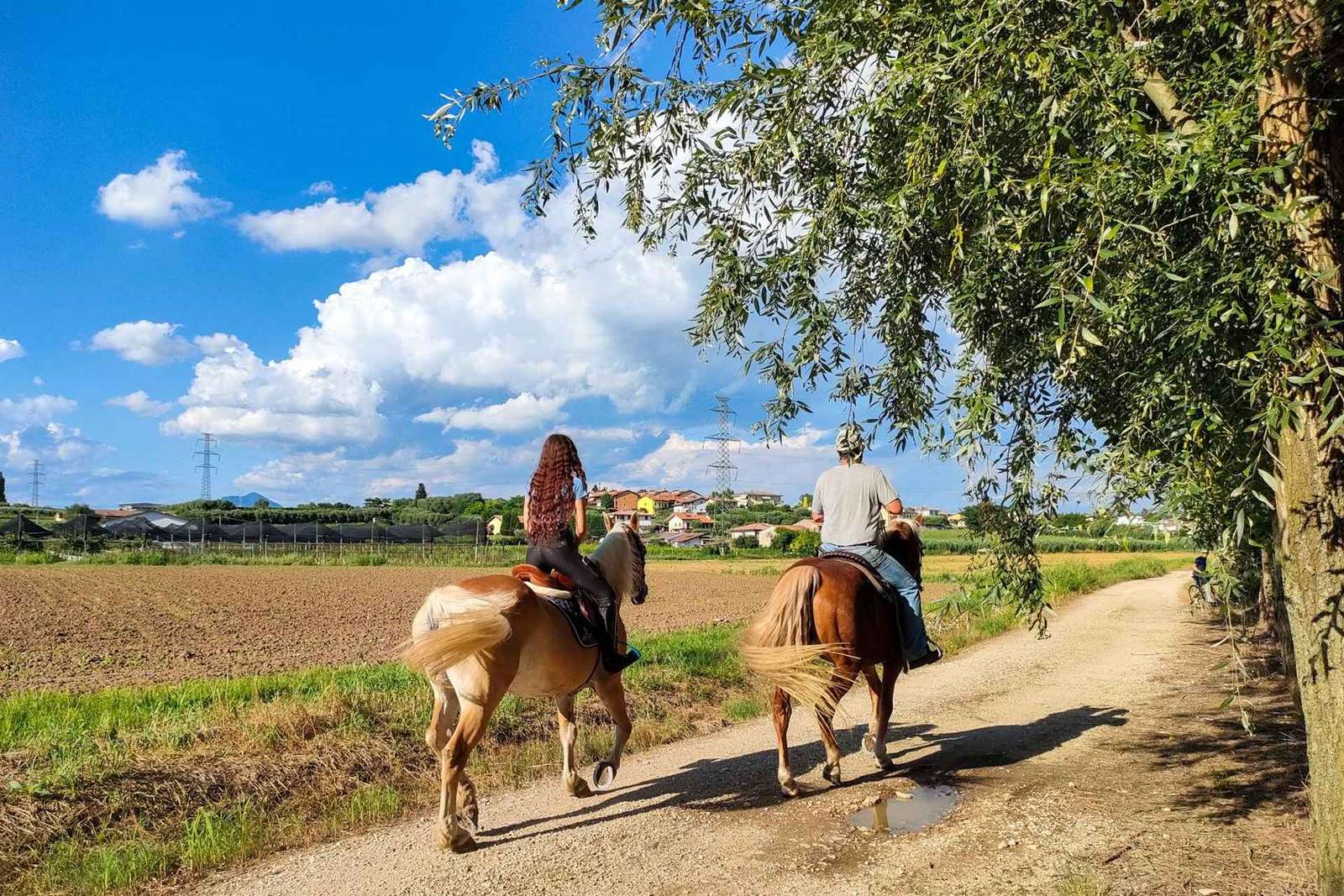 Paseo a caballo en el lago de Garda y pícnic en una granja