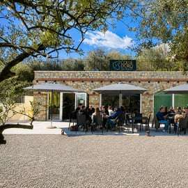 Aperitivo con olio d'oliva sul Lago di Garda tra gli ulivi