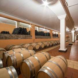 Gardasee: Garda Hills Wein Tour und Verkostung