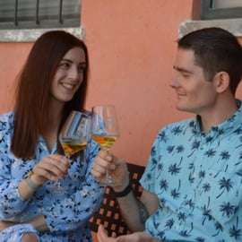 Excursão de meio dia de vinhos: Soave e Amarone em minivan