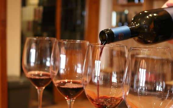 Valpolicellai borkóstoló helyi idegenvezetővel egy kis pincészetbe