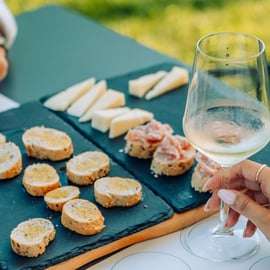 Lac de Garde : Dégustations de vins et de mets dans les vignobles