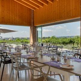 Visite d'un domaine viticole en Valpolicella avec dégustation