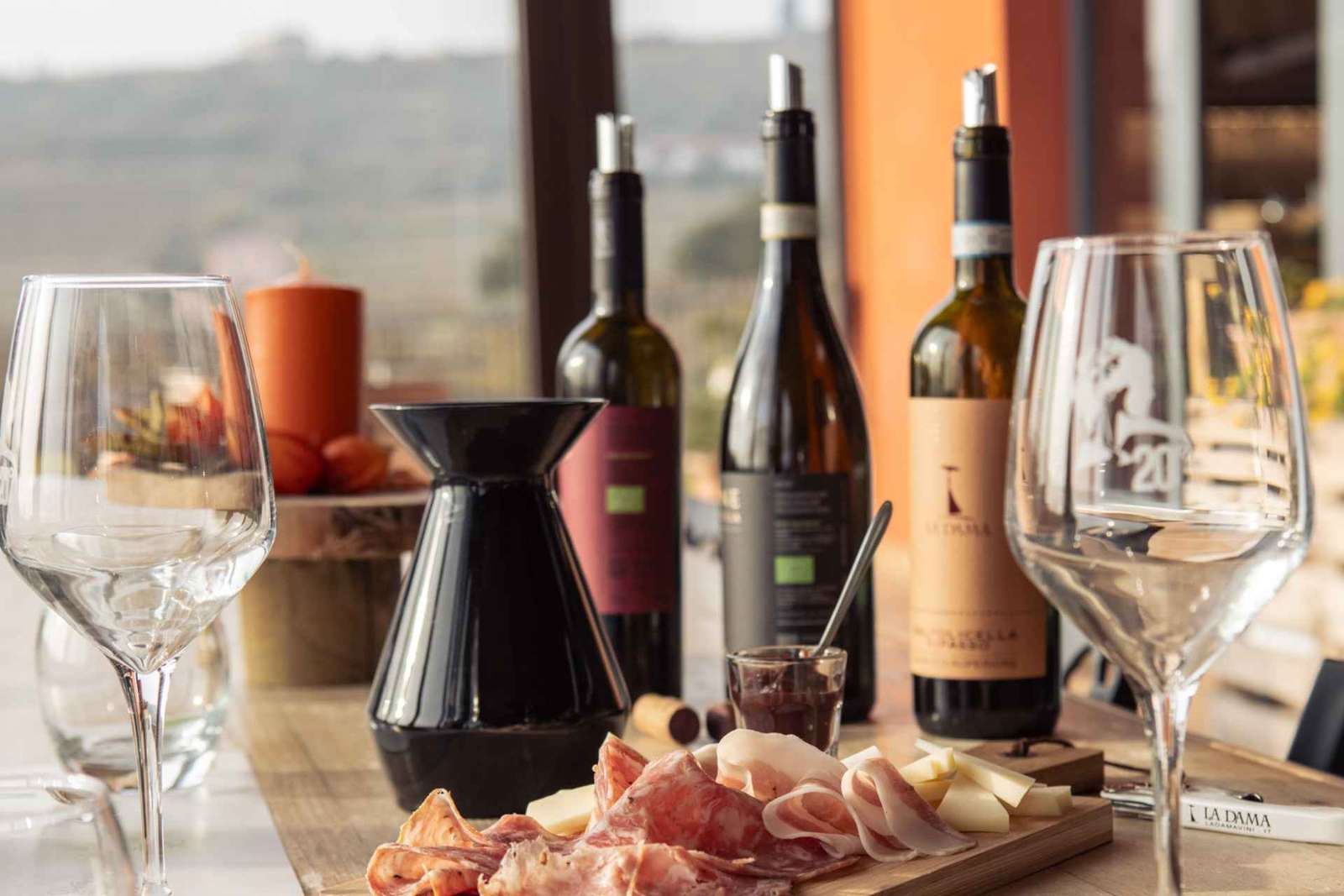Dégustation de vins biologiques en Valpolicella, vignes et cave