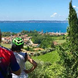 Lazise : Excursion à vélo et dégustation de vins