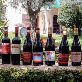 Dégustation de vin à Fumane dans une cour médiévale