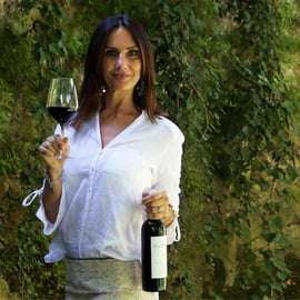 Valpolicella: Winery and Vineyard Tour with Lunch and Wine Tasting