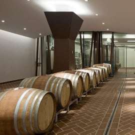 Bardolino: degustacja 6 czerwonych win Valpolicella i Garda
