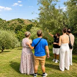 Dégustation d'huile d'olive sur le lac de Garde, domaine familial