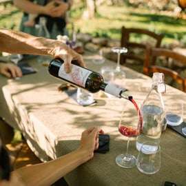 Lac de Garde : Visite du vignoble et dégustation sur les collines