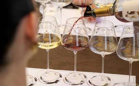 Scenic aperitif in Valpolicella with 3 white and rosé wines