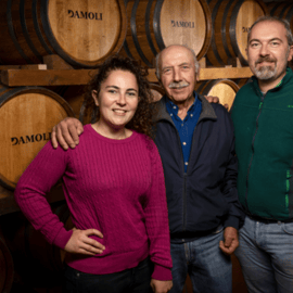 From Verona: Valpolicella and Amarone full day private tour