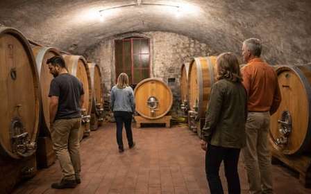 Amarone och Valpolicella: vintur med transfer från Verona
