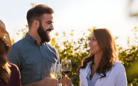 Halvdagstur till Valpolicella: två vingårdar och Amarone